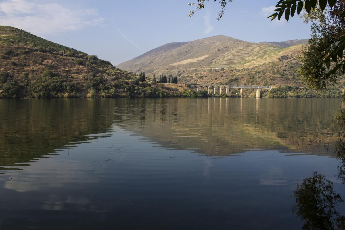 Imagens da Quinta de Lubazim